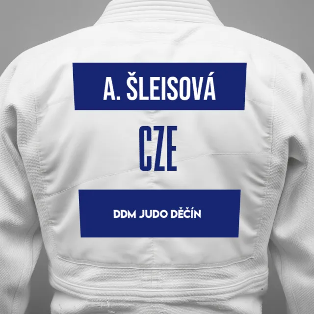 Thumbnail of backnumber of Alžběta šleisová
