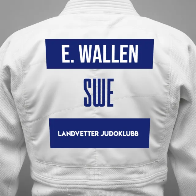 Thumbnail of backnumber of Edvard Wallen