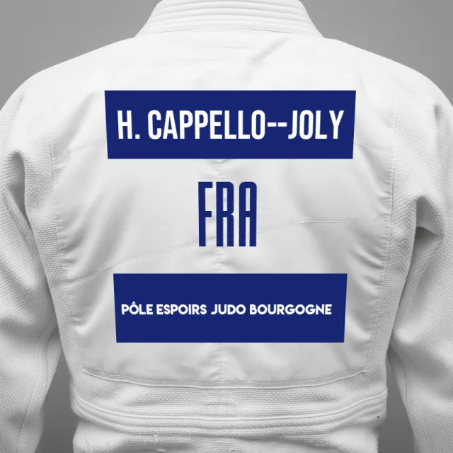 Thumbnail of backnumber of Hanaé Cappello--Joly