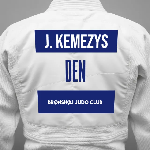 Thumbnail of backnumber of Julius Kemezys