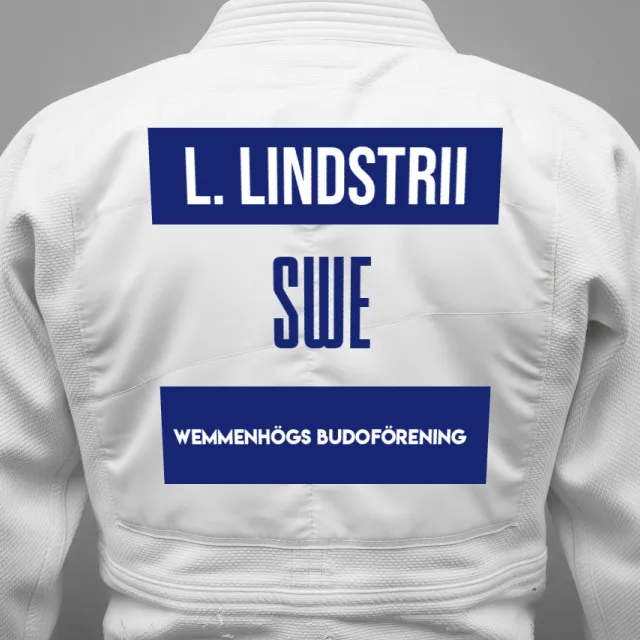 Thumbnail of backnumber of Liam Lindstrii