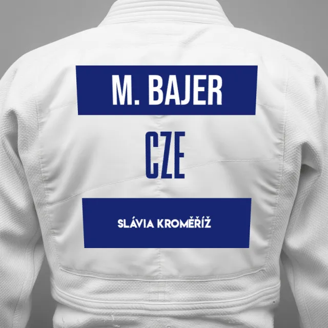 Thumbnail of backnumber of Miroslav Bajer