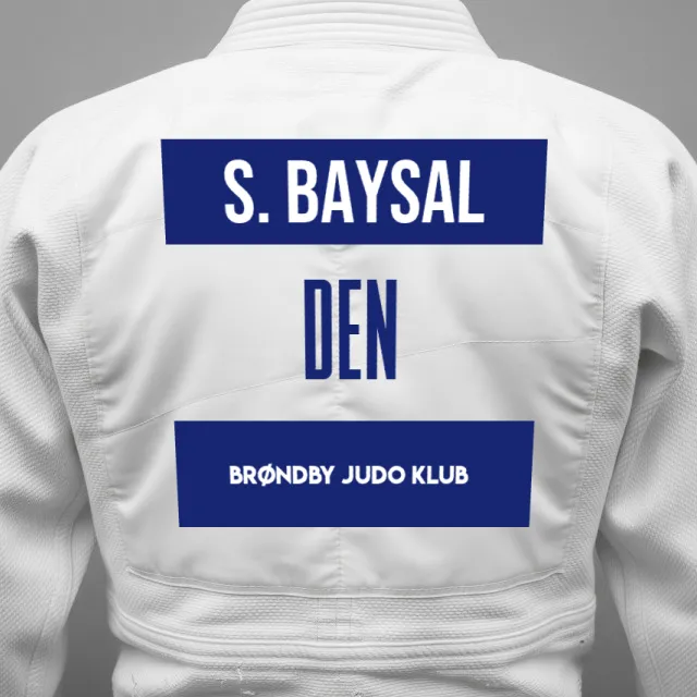 Thumbnail of backnumber of Said Baysal