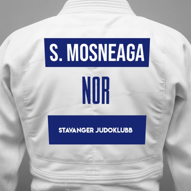 Thumbnail of backnumber of Silvestru Mosneaga