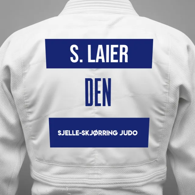 Thumbnail of backnumber of Snorre Laier