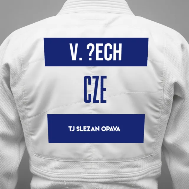 Thumbnail of backnumber of Václav ?ech