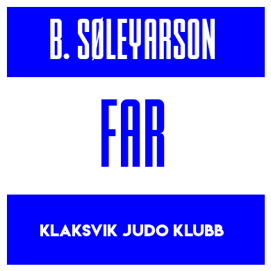 Rygnummer for Brandur Søleyarson