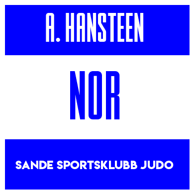 Rygnummer for Audun Hansteen