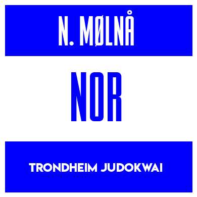 Rygnummer for Niklas Mølnå