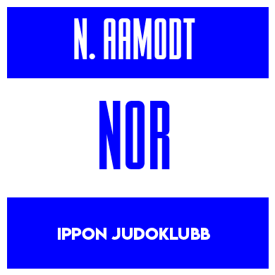 Rygnummer for Nicolay Aamodt