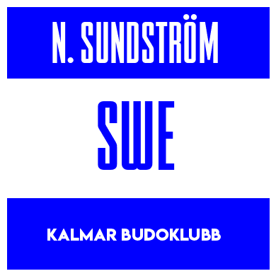 Rygnummer for Noa Sundström