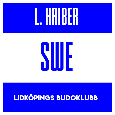 Rygnummer for Ludvig Haiber
