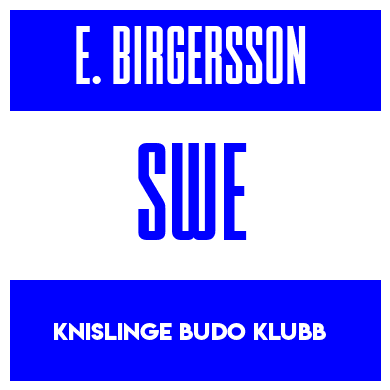 Rygnummer for Emil Birgersson