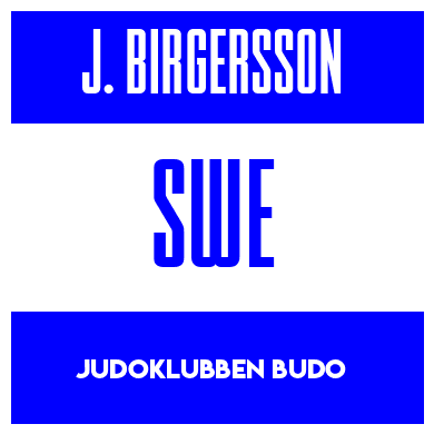 Rygnummer for Joel Birgersson