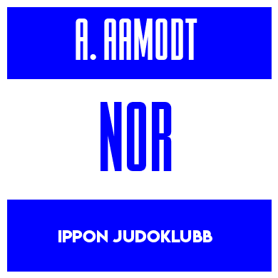 Rygnummer for Axel Aamodt