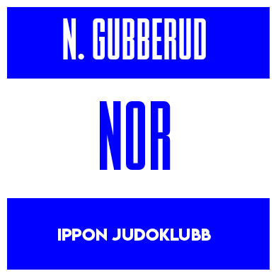 Rygnummer for Nino Gubberud