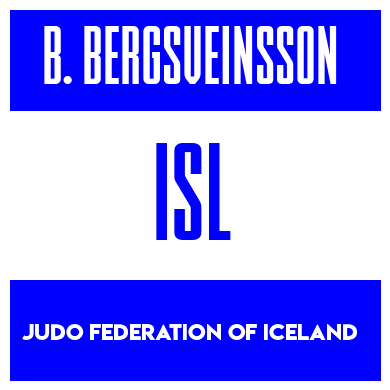 Rygnummer for Birkir Bergsveinsson